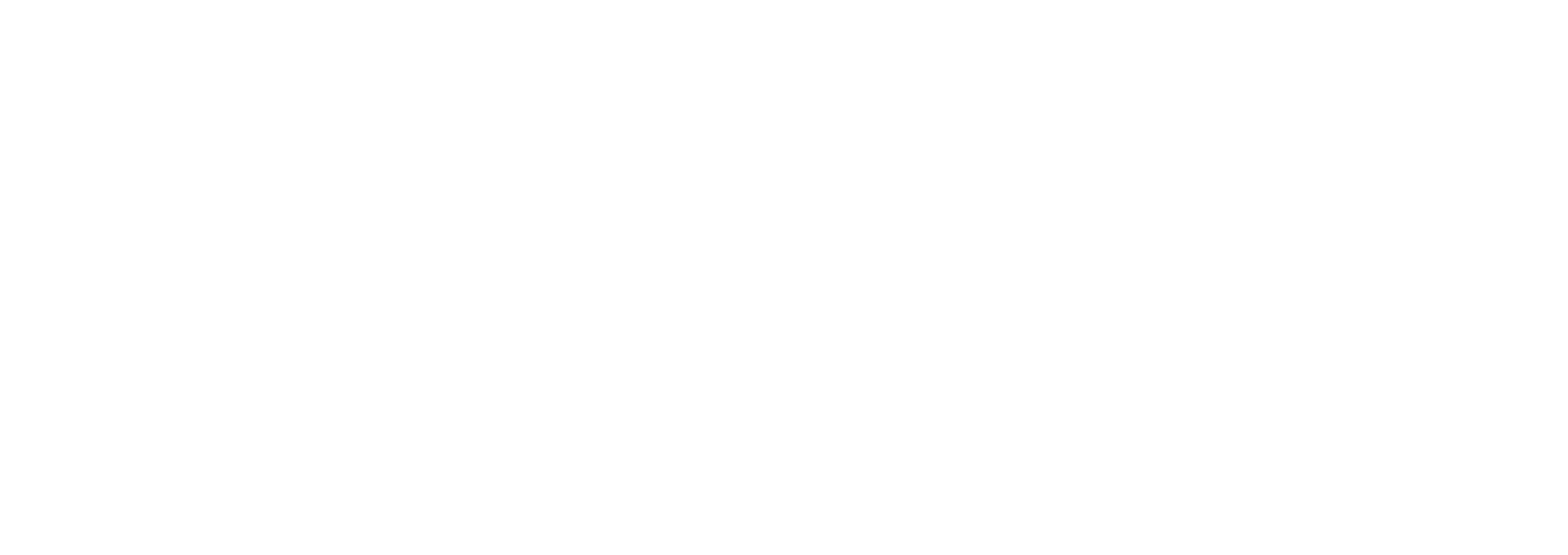 Alina Ayurveda – Ganzheitlich gesund, glücklich & im Gleichgewicht